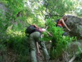 /album/fotogaleria-stvrtok-16-06-2011/p1320662-jpg/