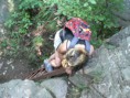 /album/fotogaleria-stvrtok-16-06-2011/p1320676-jpg/
